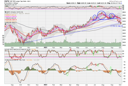 02 - C FUND - SPX DAILY.png