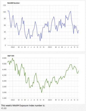 NAAIM10-11-23.PNG