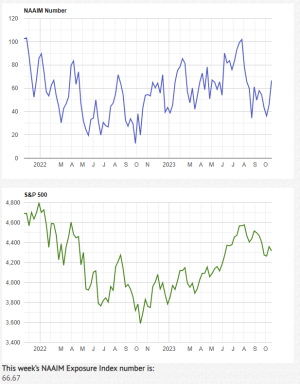 NAAIM10-18-23A.PNG