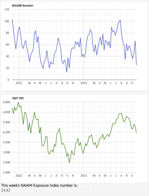 NAAIM10-25-23A.PNG