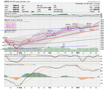 02 - C FUND - SPX DAILY.png