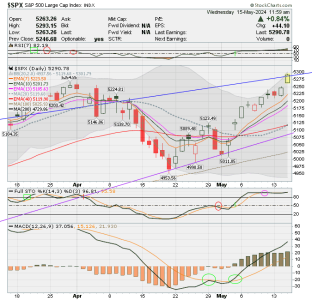 02 - C FUND - SPX DAILY.png