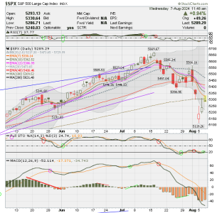 02 - C FUND - SPX DAILY.png