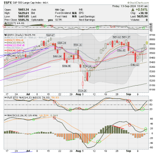 02 - C FUND - SPX DAILY.png