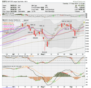 02 - C FUND - SPX DAILY.png