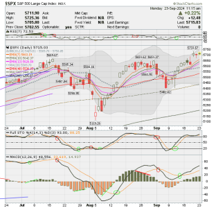 02 - C FUND - SPX DAILY.png