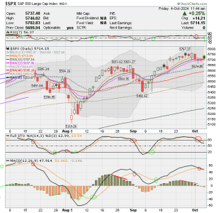 02 - C FUND - SPX DAILY.png