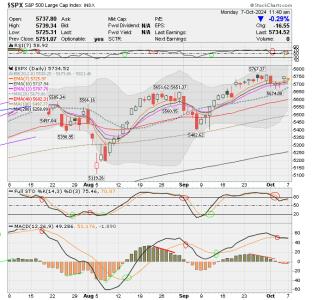 02 - C FUND - SPX DAILY.png