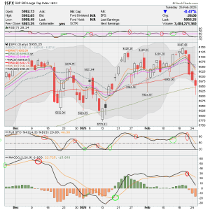 02 - C FUND - SPX DAILY.png