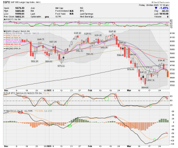 02 - C FUND - SPX DAILY.png