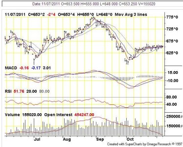 corn-11-11-2011.JPG