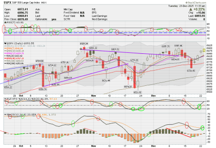 02 - C FUND - SPX DAILY.png