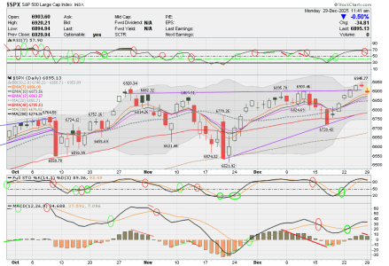 02 - C FUND - SPX DAILY.png