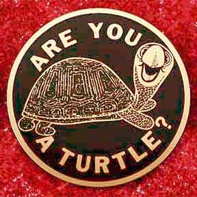 are_you_a_turtle.jpg