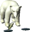 polar-bear1.gif