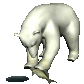 polar-bear3.gif