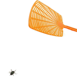 swatter.gif