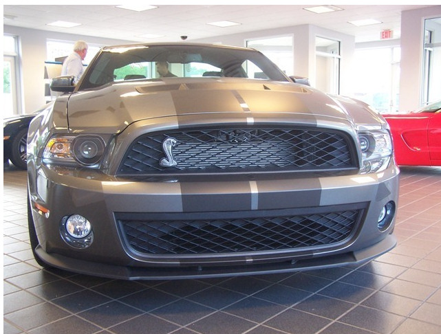 shelby_front.jpg