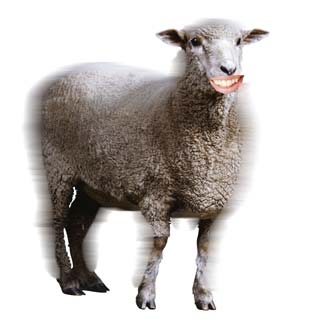 loveewe.jpg