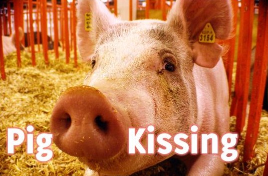 pig-kissing.jpg