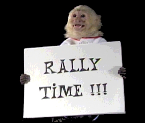 rally1.jpg