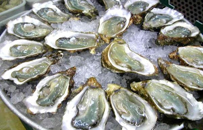 Oyster_on_the_half_shell-600x385%5B1%5D.jpg